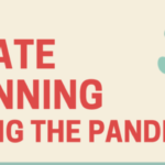 Estate Planning Infographics Snapshot